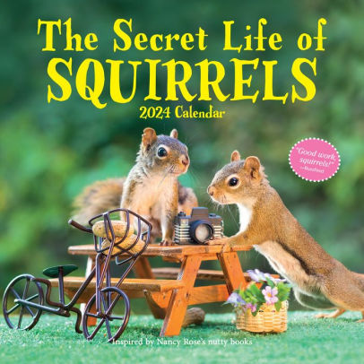 THE SECRET LIFE OF SQUIRRELS WALL CALENDAR 2024 - WORKMAN CALENDARS